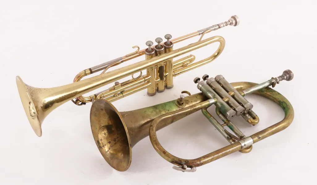 Blåsinstrument 2st