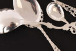 Silver 13 delar